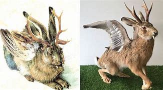 Image result for Mythical Rabbit