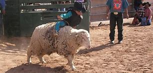 Image result for Rodeo Banners