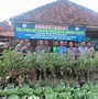 Image result for Pemanfaatan Lahan Pekarangan