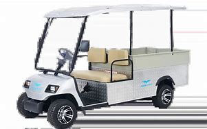 Image result for Small Electric Carts