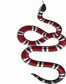 Image result for Gucci Snake PNG