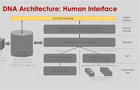 Image result for Human Ai Interface