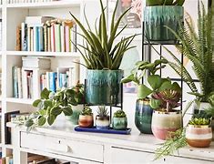 Image result for Unique Indoor Plant Pots