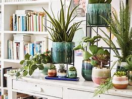 Image result for Plant Pots