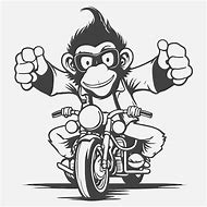 Image result for Monkey Riding Motorcycle