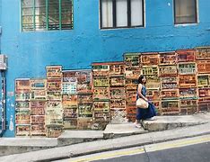 Image result for Activities to Do in Central Hong Kong