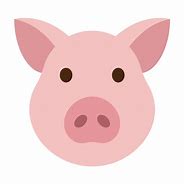 Image result for Pig Face Bush