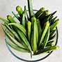 Image result for Okra Thabiek