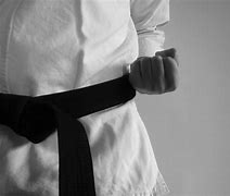 Image result for Black Belt in Taekwondo Cartoon