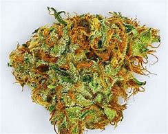 Image result for Tahoe OG Kush