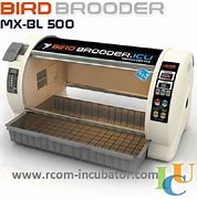 Image result for Avian Brooder