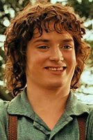 Image result for Frodo Family Tree