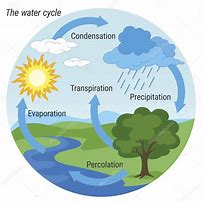 Image result for Water Cycle Illustration