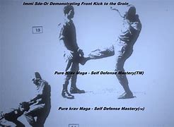 Image result for Krav Maga Front Kick