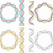 Image result for Double Helix Labels