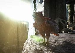 Image result for Fjordhawk Ark