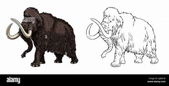 Image result for Extinct Animals Drawing