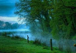 Image result for Wallpaper That Free