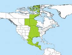 Image result for CST Time Map