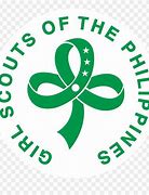 Image result for Scouting for Girls Logo