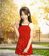 Image result for Shundan Xiao