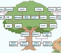 Image result for Draw Your Family Tree