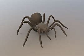 Image result for Ravine Trapdoor Spider