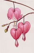 Image result for Flower Heart Art Work