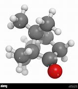 Image result for Camphor Chemical Structure