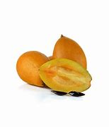 Image result for Sapodilla