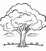 Image result for Tree Outline Graphic