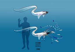 Image result for Glass Worm Figurines