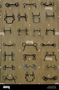 Image result for Draft Horse Bits