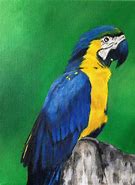 Image result for Blue Parrot Painting