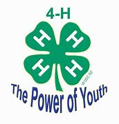 Image result for 4-H Horse Clip Art