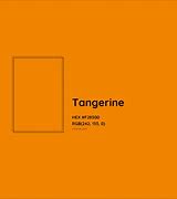 Image result for Orange Tangerine Hybrid