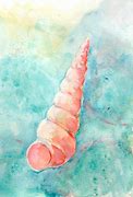 Image result for Spiral Shell Art