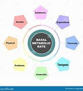 Image result for Basal Metabolic Rate with Black Background