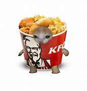 Image result for Kentucky Fried Cat