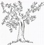 Image result for Fruit Tree Outline