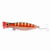 Image result for Popper Lure