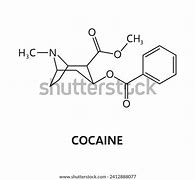 Image result for Cocaine Natural Form