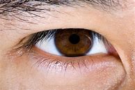 Image result for Chocolate Brown Eyes Male