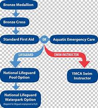 Image result for American Red Cross Lifeguard Certification Resume