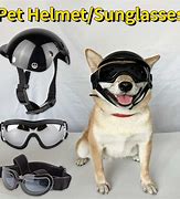 Image result for dog motorcycle helmet safety