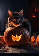 Image result for Hallowen Cat Pumpkin