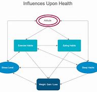 Image result for Influence Diagram