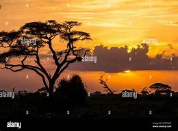 Image result for Beautiful Kenya Sunset