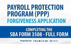 Image result for Form 3508 PPP