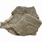 Image result for Turtle Shell Fossil